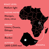 Atnago's Ethiopia • Medium-Light Roast