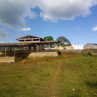 Atnago's Ethiopia • Medium-Light Roast