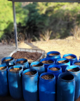 Coffee in barrels during the washed process on Mayra's Farm