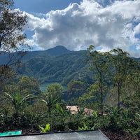 Seilyn's Costa Rica • Medium-Light Roast