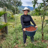 Seilyn's Costa Rica • Medium-Light Roast