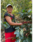 Rosalba's Mexico | Medium Roast