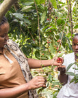 Congolese women inspecting coffee cherries on a coffee farm in eastern Democratic Republic of Congo