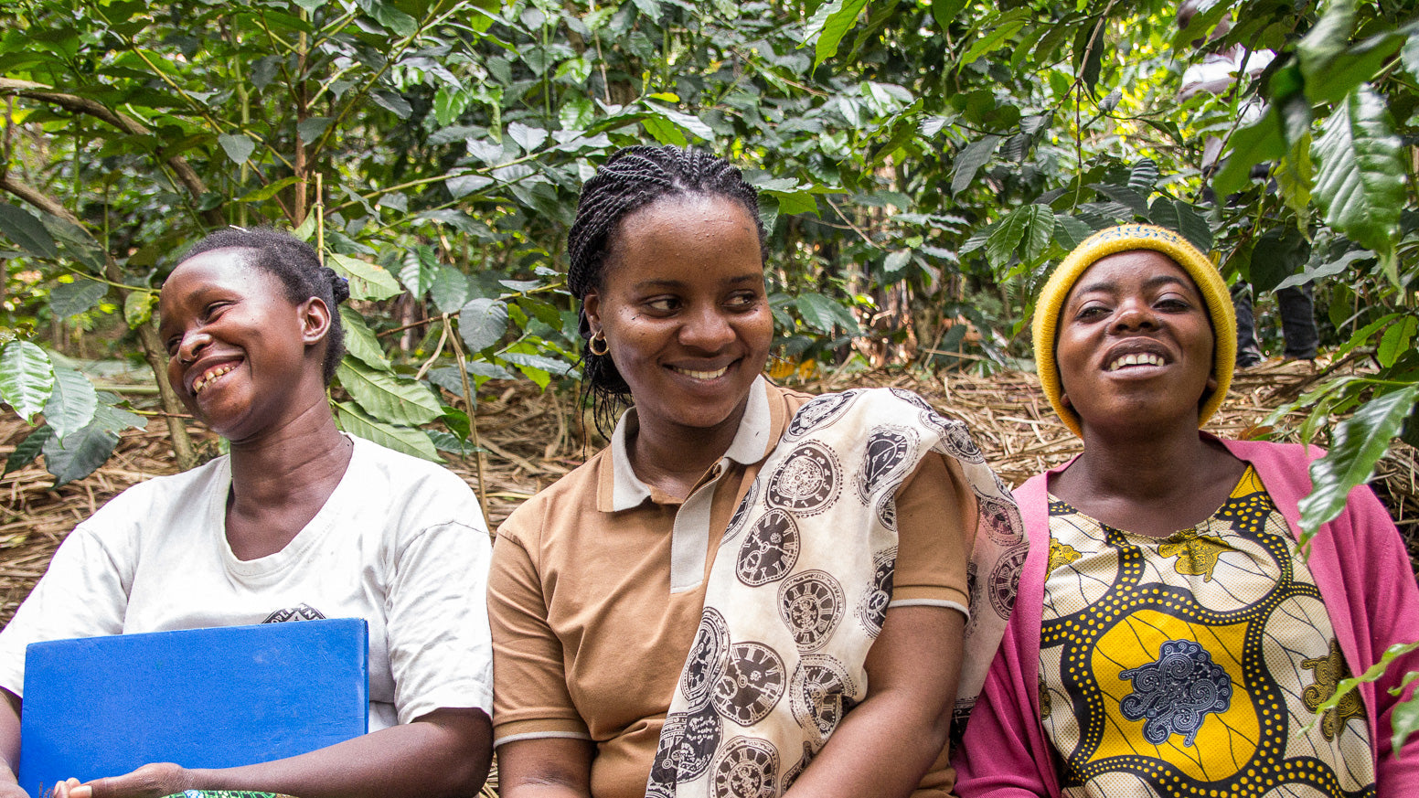Three women in a Congolese coffee forest smiling