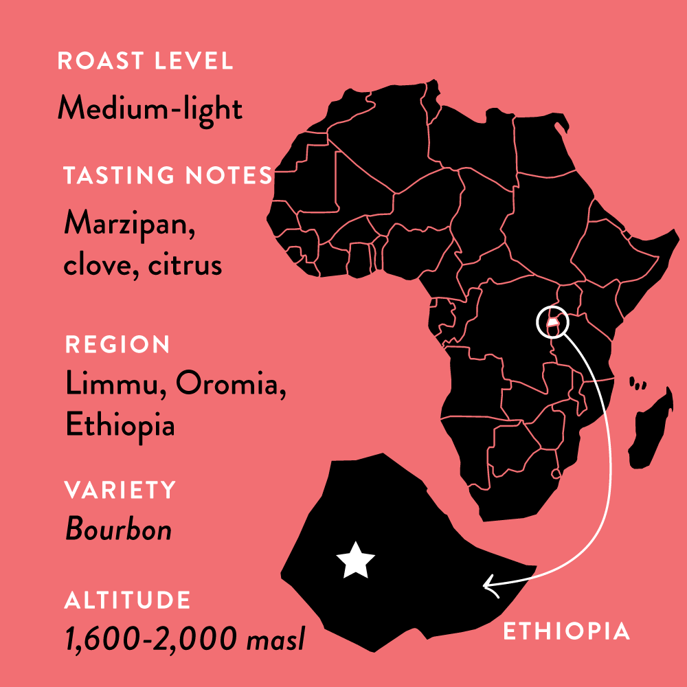 Atnago's Ethiopia • Medium-Light Roast
