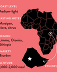 Atnago's Ethiopia | Medium-Light Roast