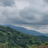 Atnago's Ethiopia • Medium-Light Roast