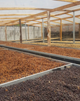 Drying beds on Mayra Solis farm showing different stages of the drying process