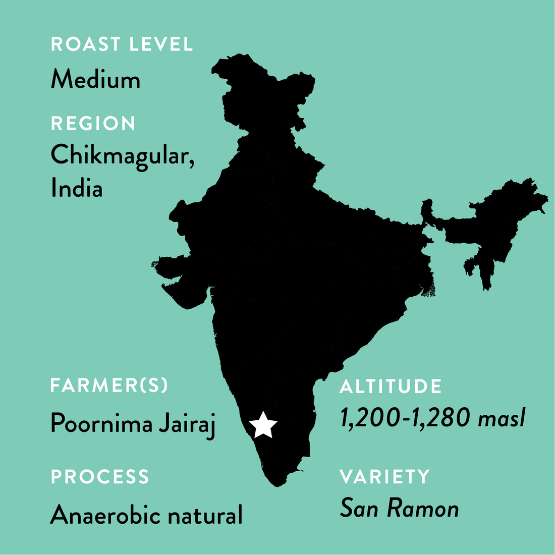 Varshini's India • Medium Roast