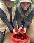 Lilly and David showing red coffee cherries freshly picked, smiling at the camera