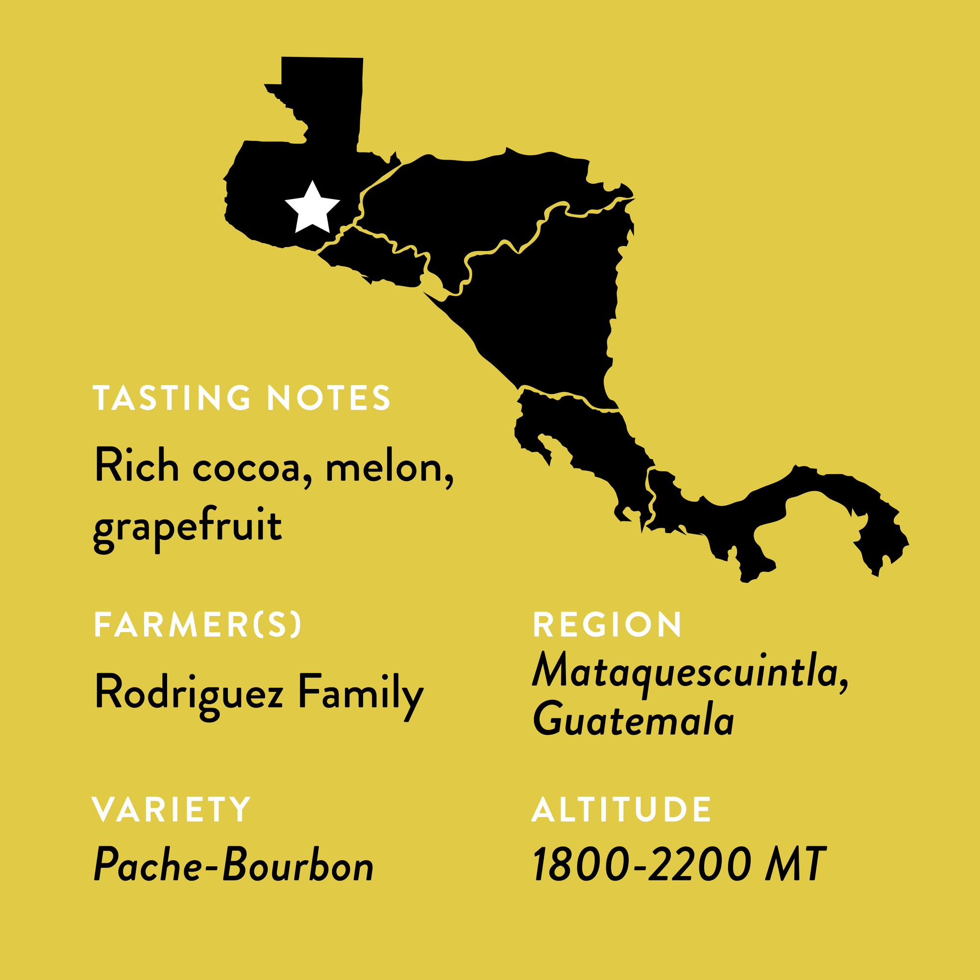 Lilly's Guatemala | Medium Roast