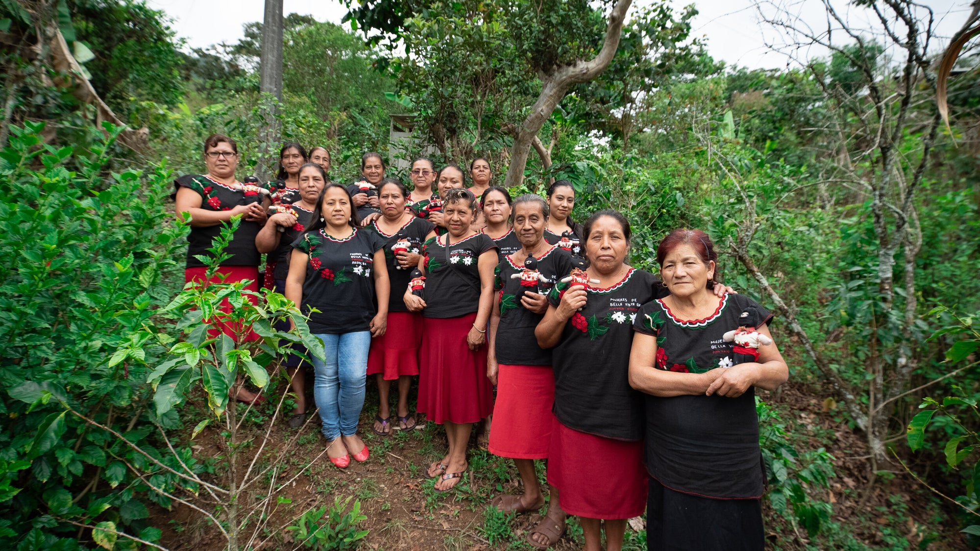 Women producers that make up the Bella Vista Womens Coop lined up together with matching coop shirts, on a coffee farm in Chiapas Mexico