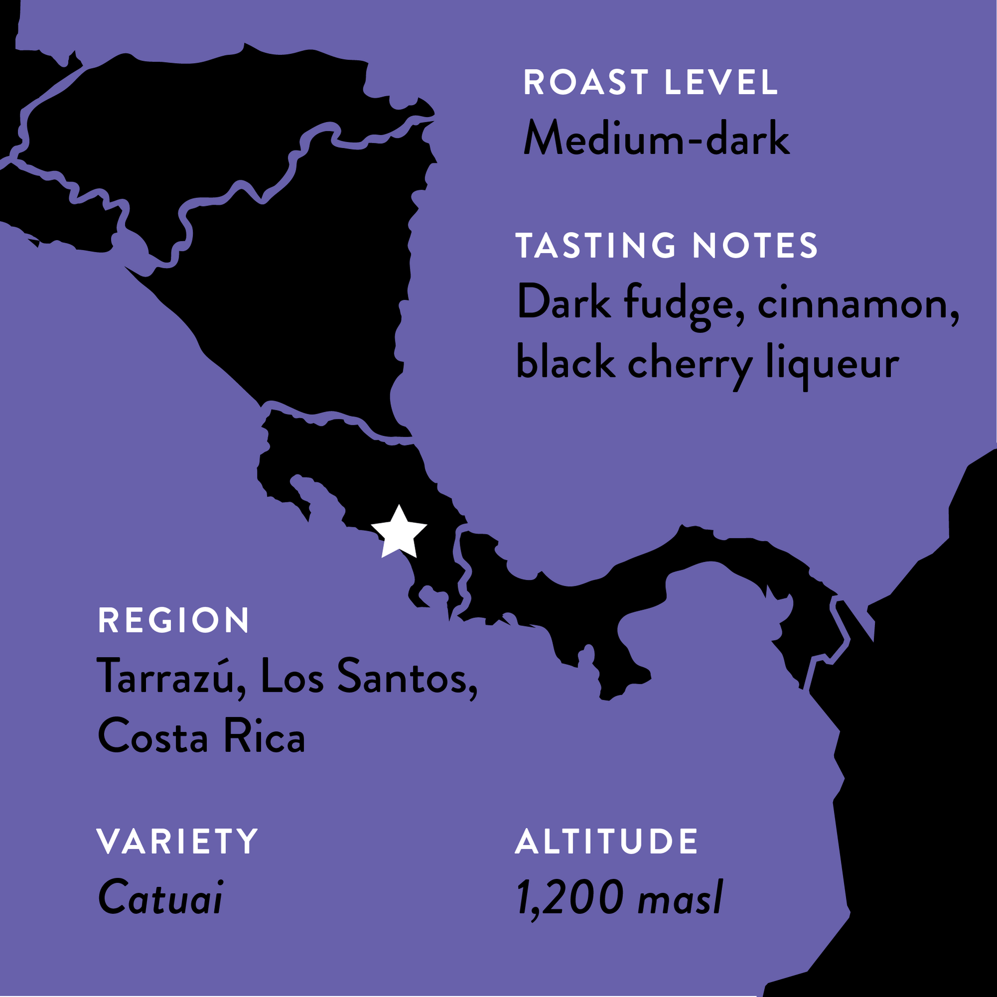 Graphic showing specification for Myra's Coffee: medium-roast, tasting notes of Dark Fudge, cinnamon, and black cherry liqueur; from the Tarrazu region of Costa Rica; variety of coffee is Catuai; grown at an altatude of 1200 meters above sea level
