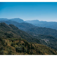 Frida's Blend • Dark Roast