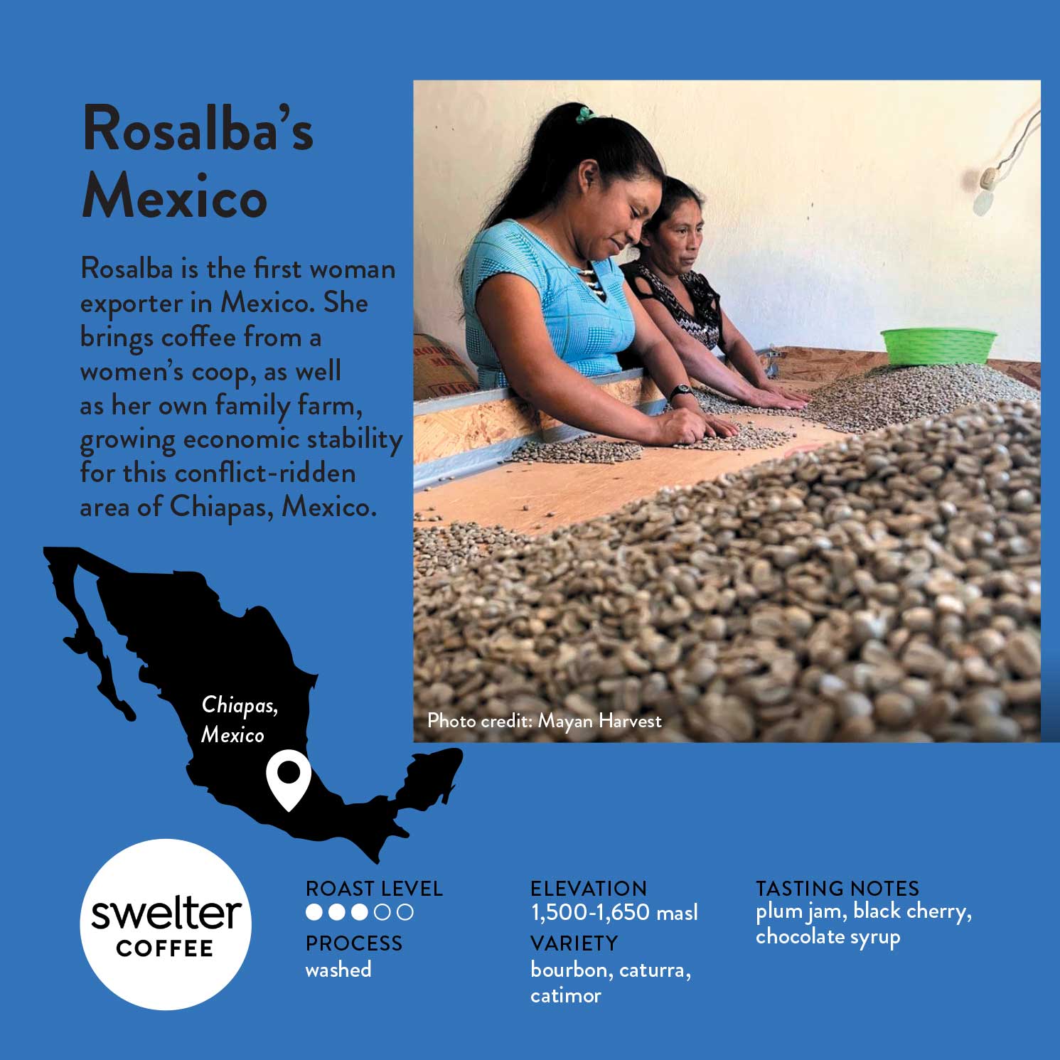 Image of Swelter Coffee info card for Rosalba's Mexico coffee, featuring women  producers sorting coffee beans with text and coffee details