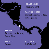 Seilyn's Costa Rica • Medium-Light Roast
