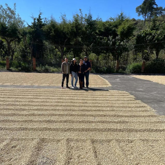 Swelter Coffee's farmer partners the Rodriguez family together in the middle of their farm's drying beds, with green coffee drying in the sun around them, in Guatemala. 