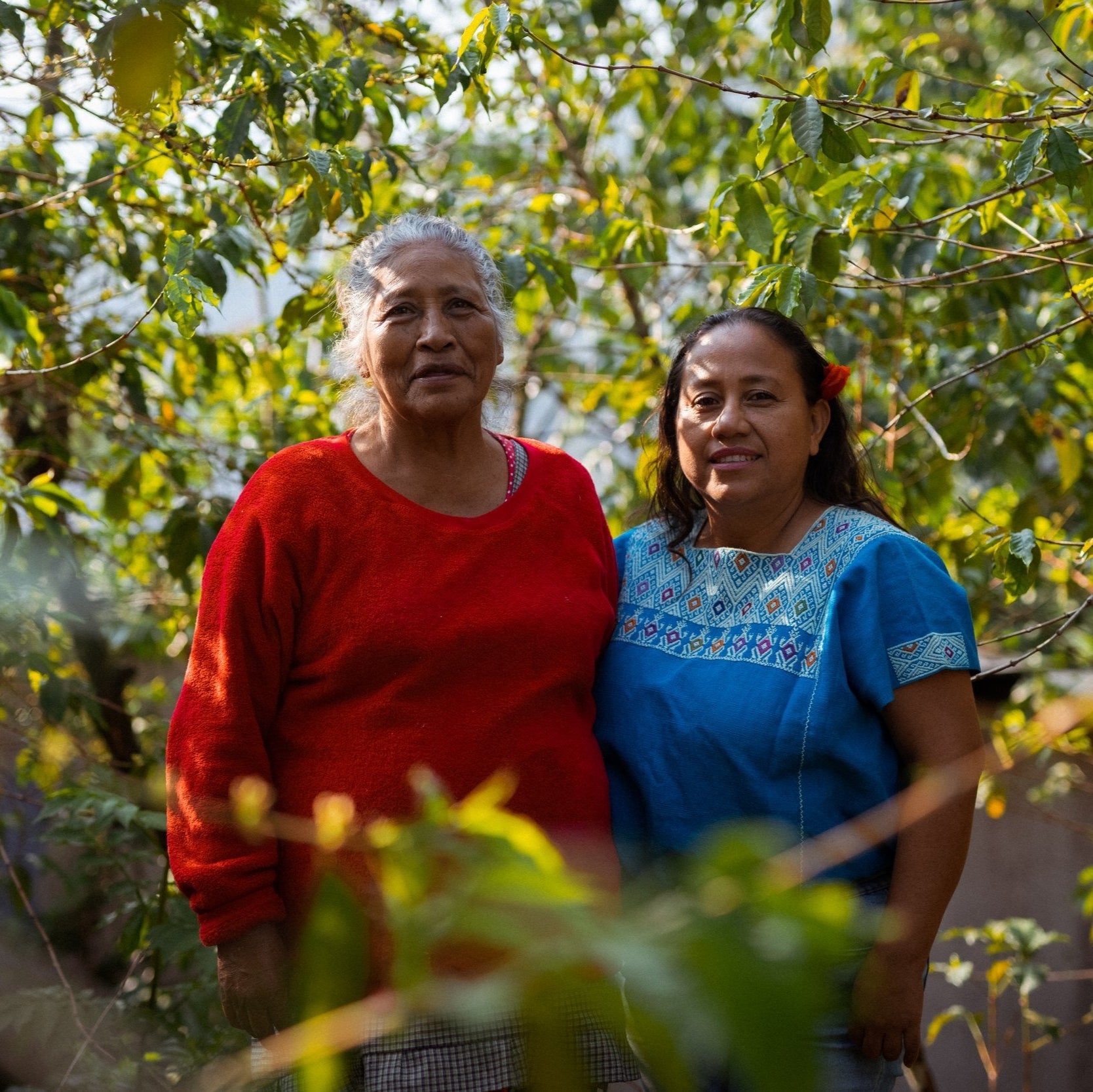 Two women coffee producers standing together on a coffee farm in Chiapas, mexico