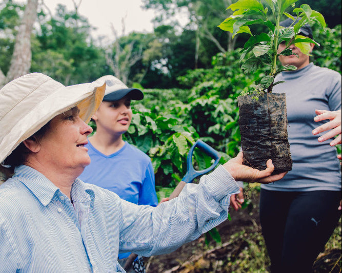 A woman coffee producer in Costa Rica holds up a coffee plant, while her daughter helps examine