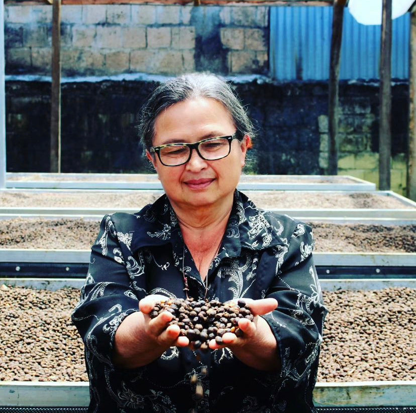 Woman coffee producer Mayra Solis at her coffee drying beds holding up a handful of coffee cherries drying in the s un