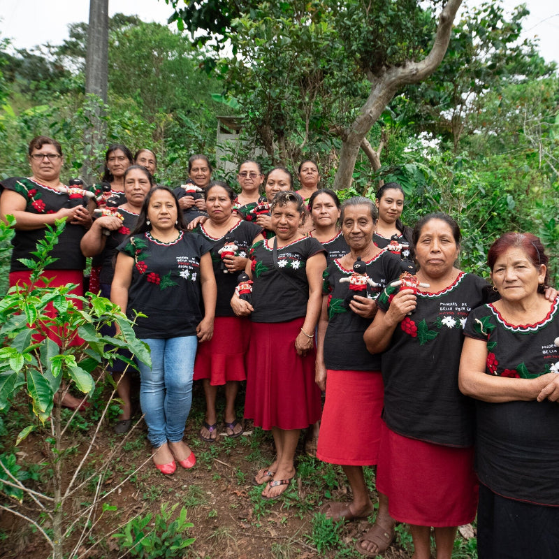 Women coffee producers Rosalba and 15 women of the Bella Vista's Women's Coop on a coffee farm in Chiapas Mexico
