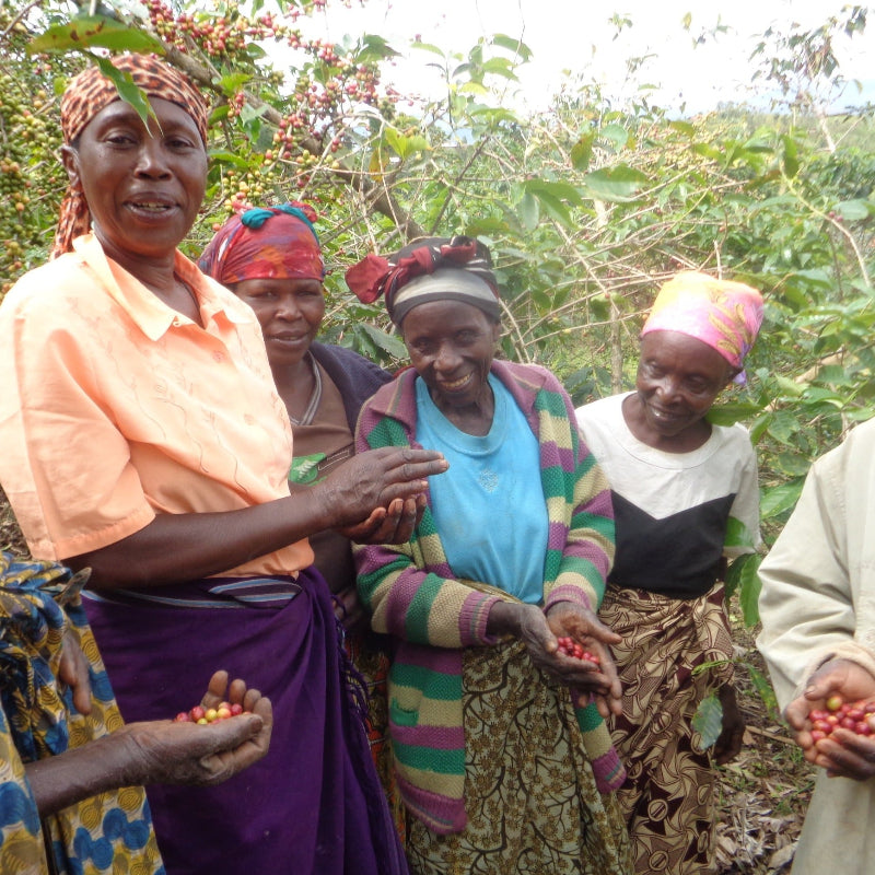 Women coffee producers from the Ejo Heza women's coop in Western Rwanda on their farm, each holding a handful of coffee cherries.