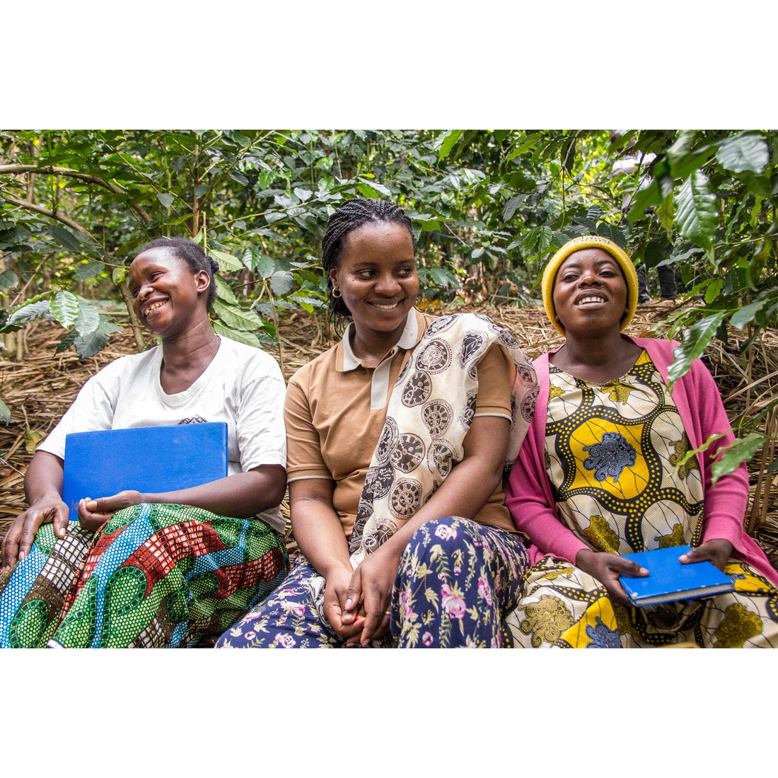 Charlotte's DRC • Medium-Dark Roast